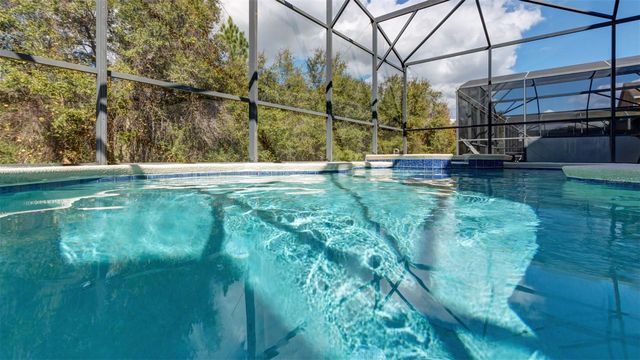 1369 ROYAL RIDGE DRIVE, Davenport, FL 33896