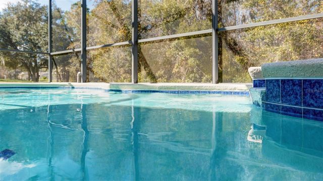 1369 ROYAL RIDGE DRIVE, Davenport, FL 33896