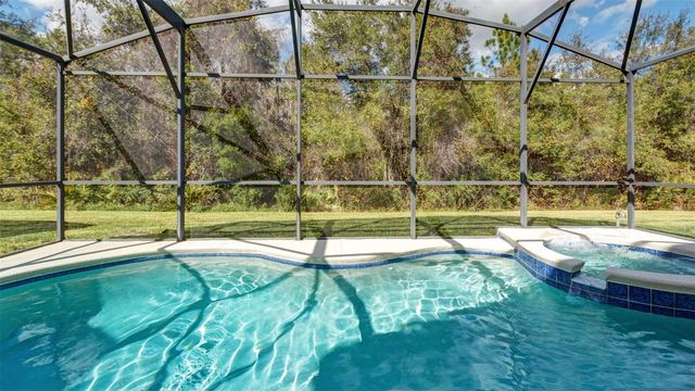 1369 ROYAL RIDGE DRIVE, Davenport, FL 33896