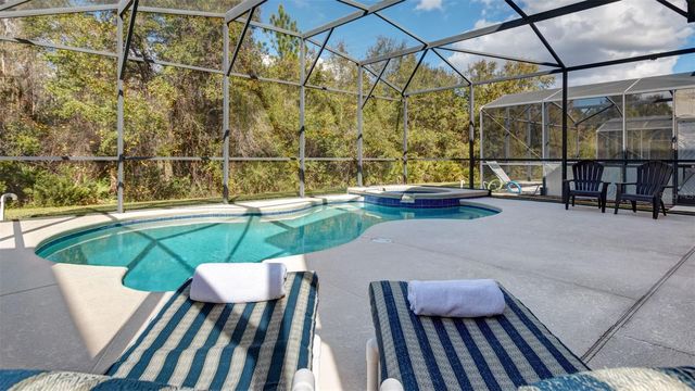 1369 ROYAL RIDGE DRIVE, Davenport, FL 33896