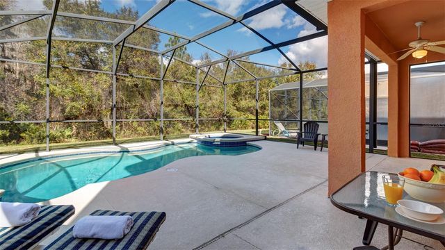 1369 ROYAL RIDGE DRIVE, Davenport, FL 33896