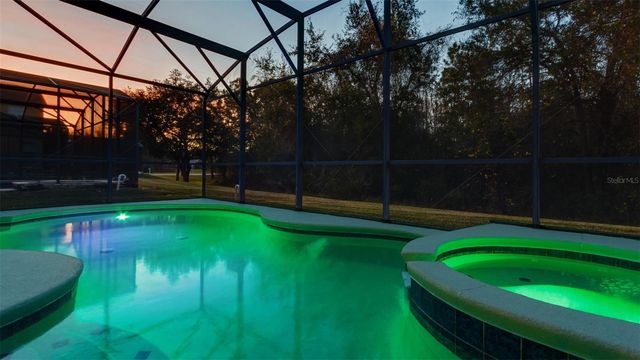 1369 ROYAL RIDGE DRIVE, Davenport, FL 33896