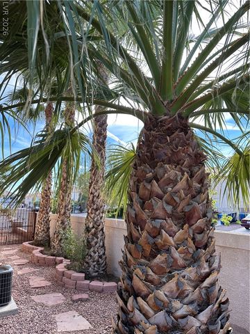 506 Leap Frog Avenue, Las Vegas, NV 89183