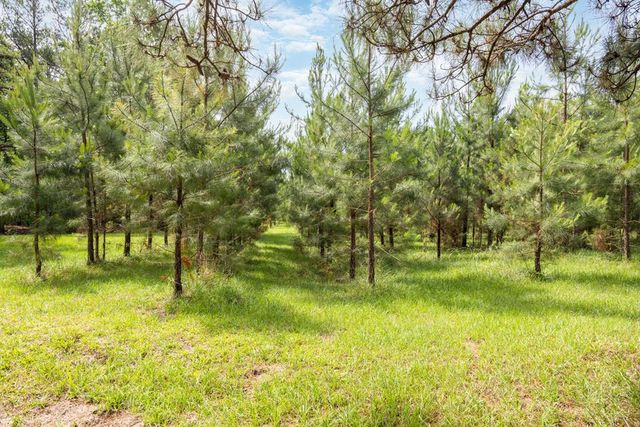11045 Warm Springs Road, Midland, GA 31820
