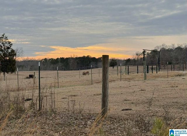 794 COUNTY ROAD 124, Jemison, AL 36792