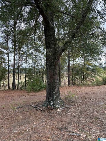 794 COUNTY ROAD 124, Jemison, AL 36792