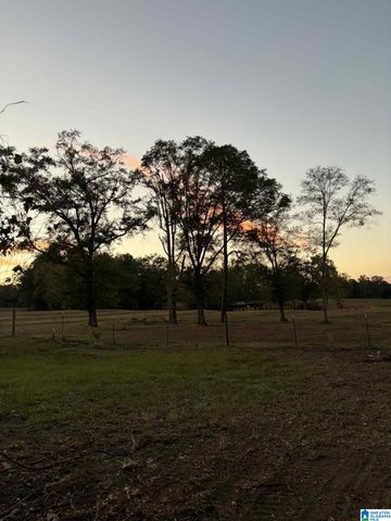 794 COUNTY ROAD 124, Jemison, AL 36792