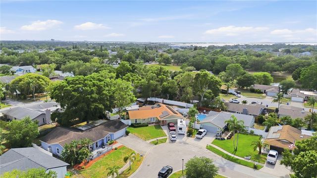 391 WALNUT COURT, Palm Harbor, FL 34683