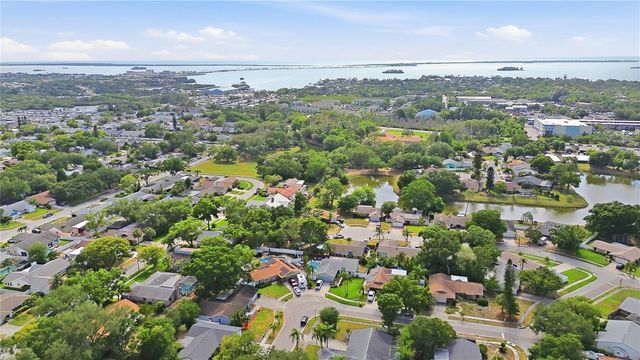 391 WALNUT COURT, Palm Harbor, FL 34683