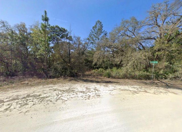 11284 CLEEVER STREET, Weeki Wachee, FL 34614