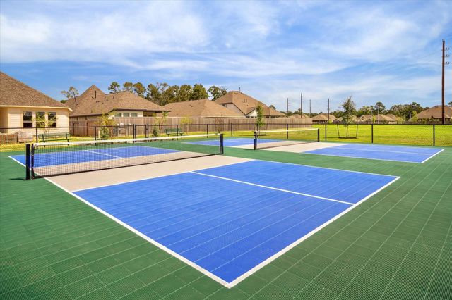 1309 Wicklow Forest Street, Magnolia, TX 77354