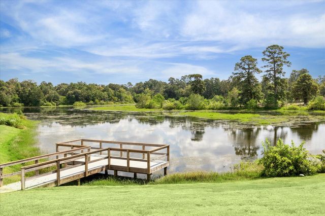 1309 Wicklow Forest Street, Magnolia, TX 77354