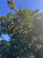 1320 3 Ranch, Duarte, CA 91010