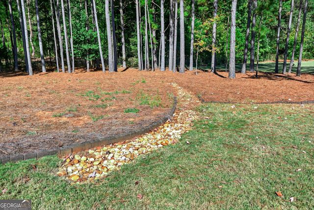 350 Cushing Street, Senoia, GA 30276