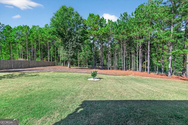 350 Cushing Street, Senoia, GA 30276