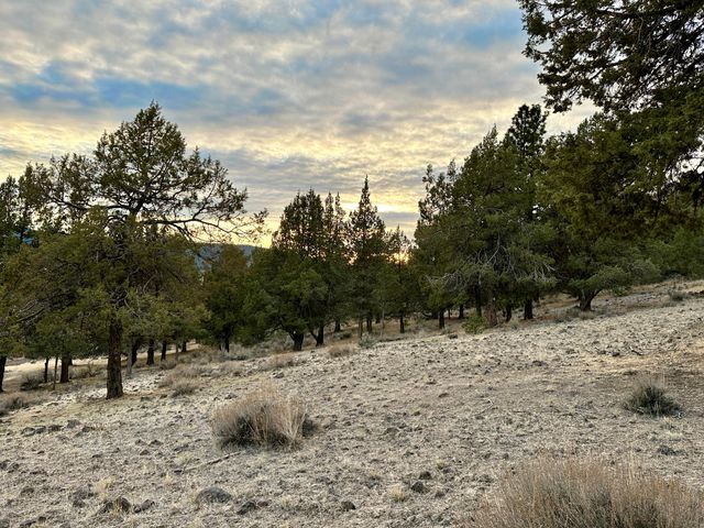 Murrelet Road Lot 1193, Klamath Falls, OR 97601