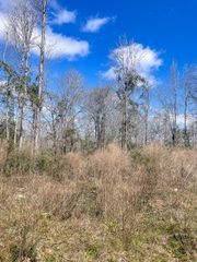 3 Us Hwy 287, Groveton, TX 75845