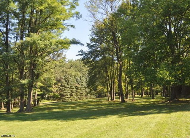 20 Dryden Rd, Bernardsville Boro, NJ 07924