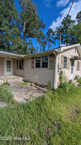 425 Barney Tyler Road, Hallsboro, NC 28442