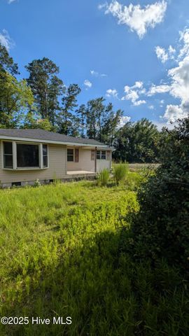 425 Barney Tyler Road, Hallsboro, NC 28442