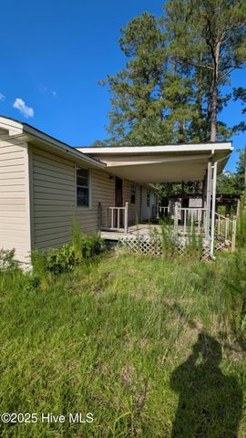 425 Barney Tyler Road, Hallsboro, NC 28442
