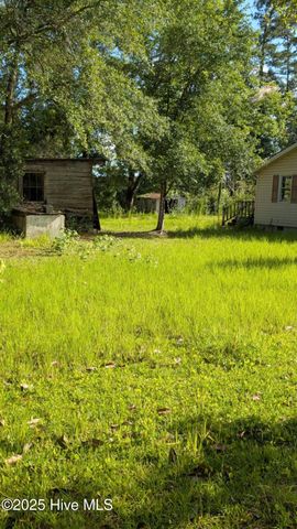 425 Barney Tyler Road, Hallsboro, NC 28442