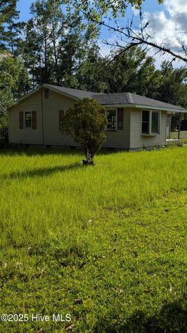 425 Barney Tyler Road, Hallsboro, NC 28442