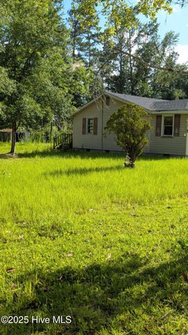 425 Barney Tyler Road, Hallsboro, NC 28442