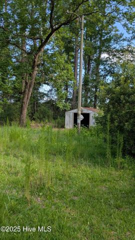 425 Barney Tyler Road, Hallsboro, NC 28442
