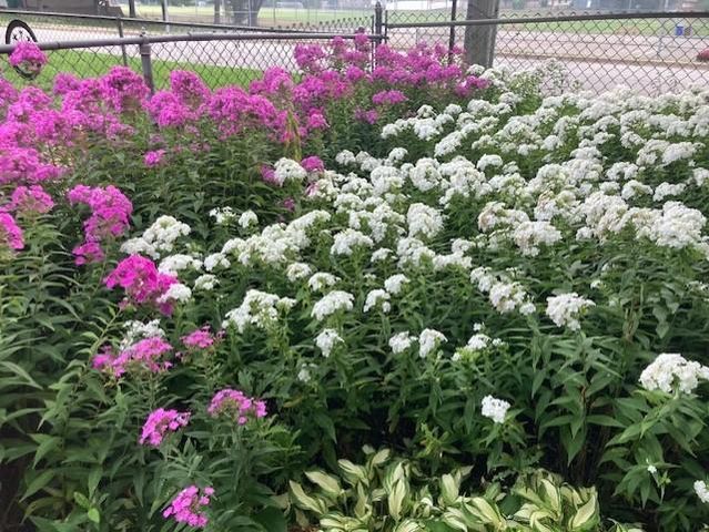 558 113th Lane NW, Coon Rapids, MN 55448