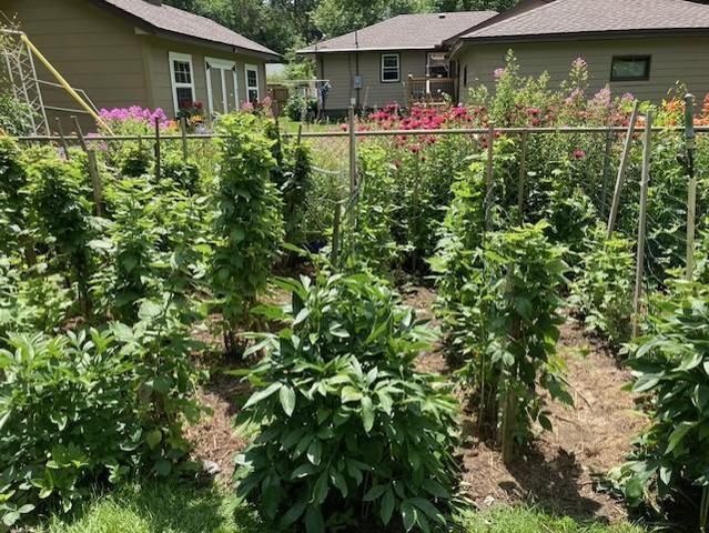 558 113th Lane NW, Coon Rapids, MN 55448