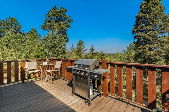 69 Cody Creek Trail, Divide, CO 80814