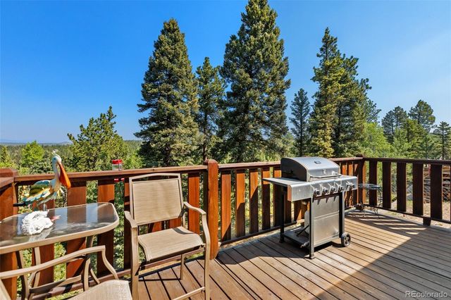 69 Cody Creek Trail, Divide, CO 80814
