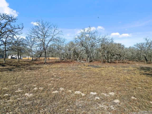 161 HONDO RIDGE, La Vernia, TX 78121