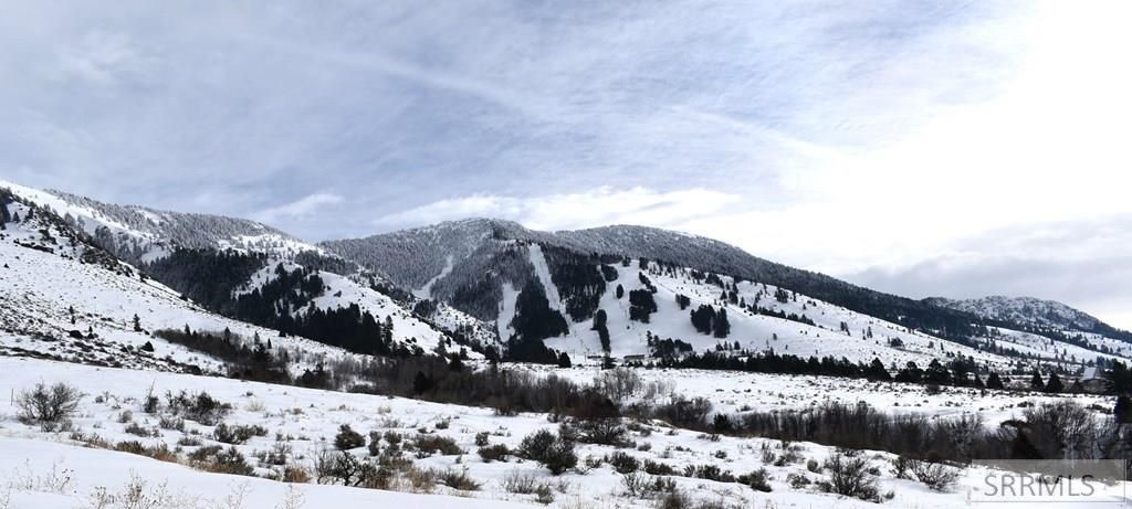 Image 46 of property listing at 1725 Peerless Place, Inkom, ID 83245