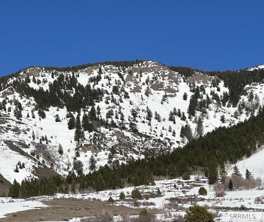 Image 48 of property listing at 1725 Peerless Place, Inkom, ID 83245