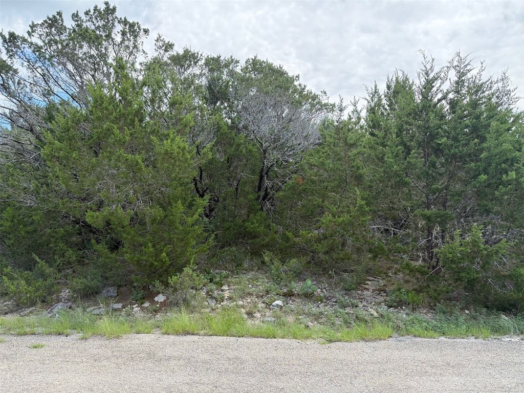 4705 Evening View Drive, Granbury, TX 76048