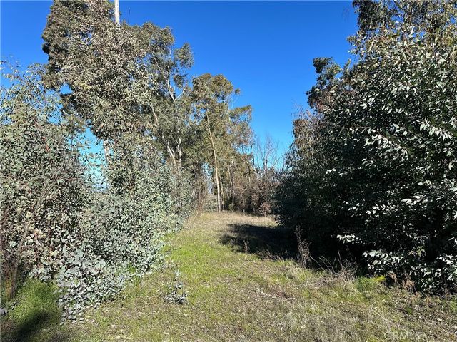 5235 Gaddy, Kelseyville, CA 95451