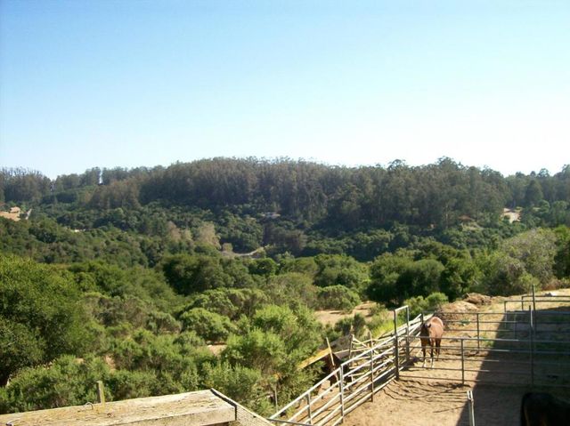 17280 Tamara Lane, Royal Oaks, CA 95076