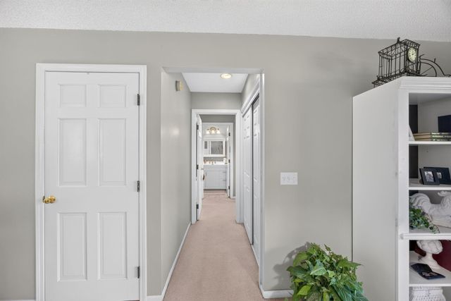10582 Trapper Lane, Morton Twp, MI 49346