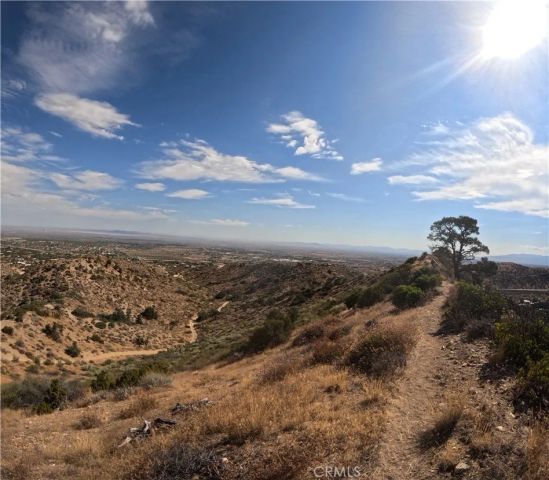 8243 Simson, Pinon Hills, CA 92372