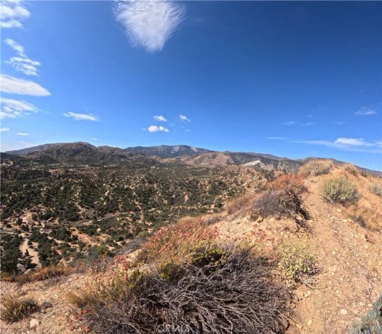 8243 Simson, Pinon Hills, CA 92372