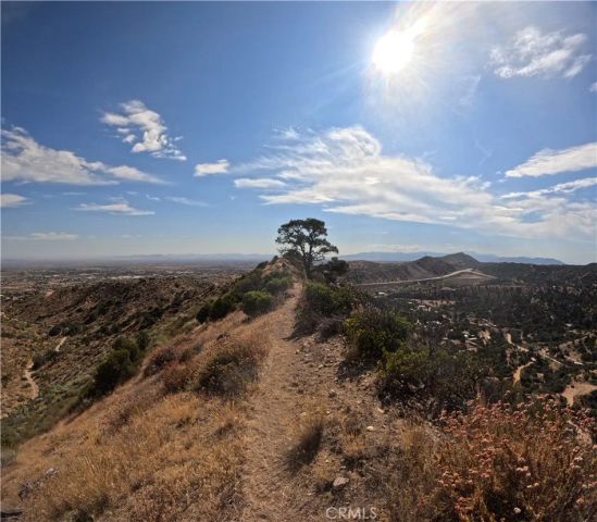 8243 Simson, Pinon Hills, CA 92372