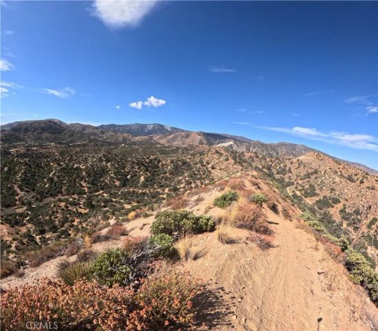 8243 Simson, Pinon Hills, CA 92372