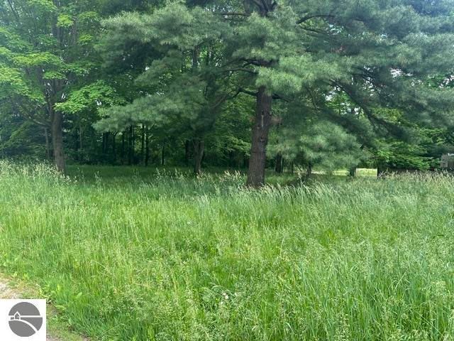 7816 W Vernon Road, Lake, MI 48632