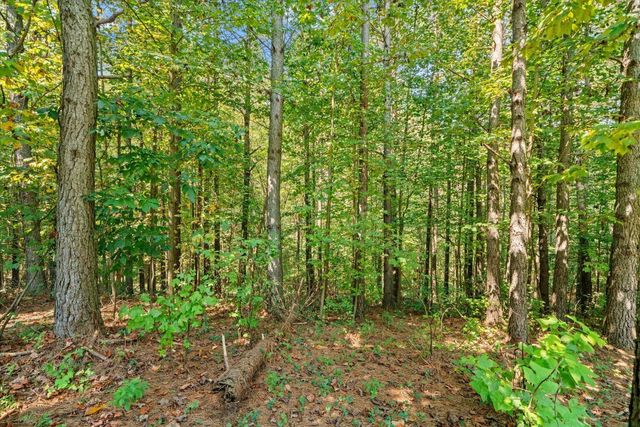 620 Foxpaw Leaf, Ellijay, GA 30536