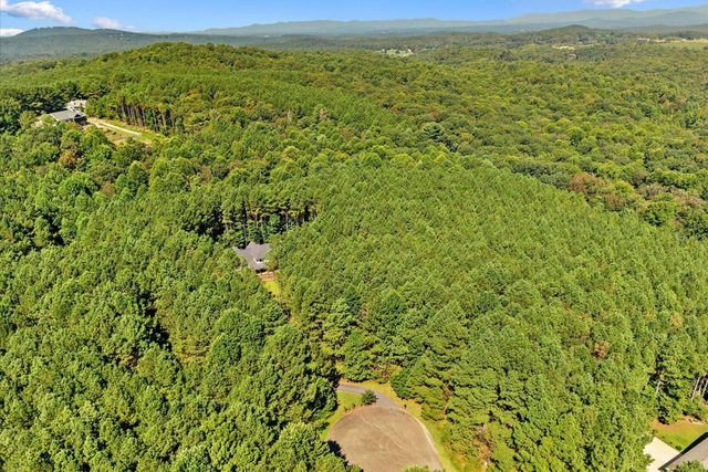 620 Foxpaw Leaf, Ellijay, GA 30536