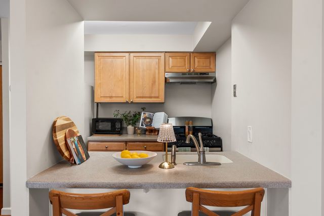 1001 N Mill Street 302, Naperville, IL 60563