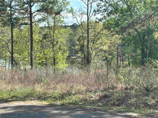 1562 Raintree Lakes Circle, Big Sandy, TX 75755