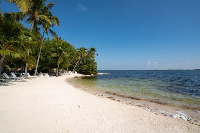 16 Jewfish Avenue, Key Largo, FL 33037